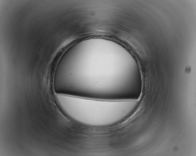 X0000103271402200808291056