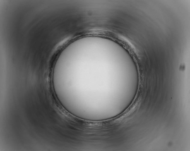 X0000103271403200808291056