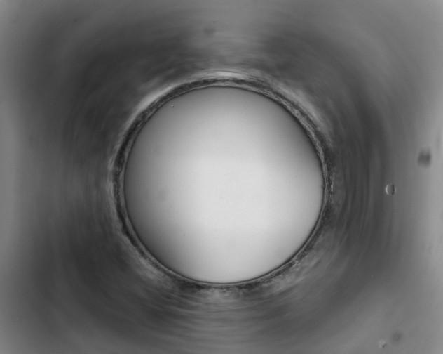 X0000103271404200808291056