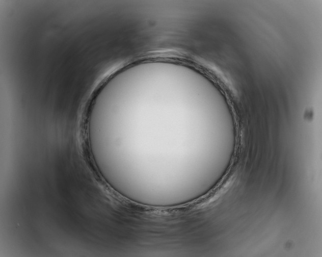 X0000103271405200808291056