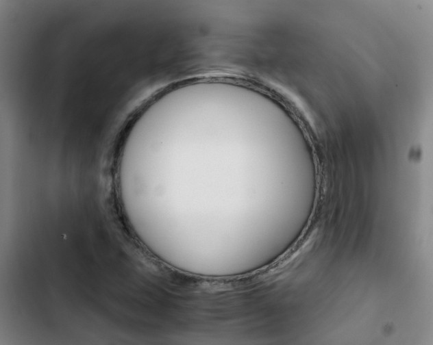 X0000103271407200808291056