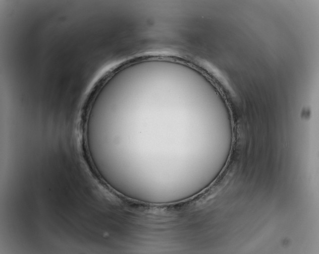 X0000103271408200808291056