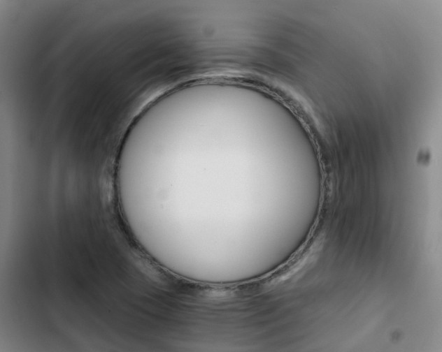 X0000103271409200808291056