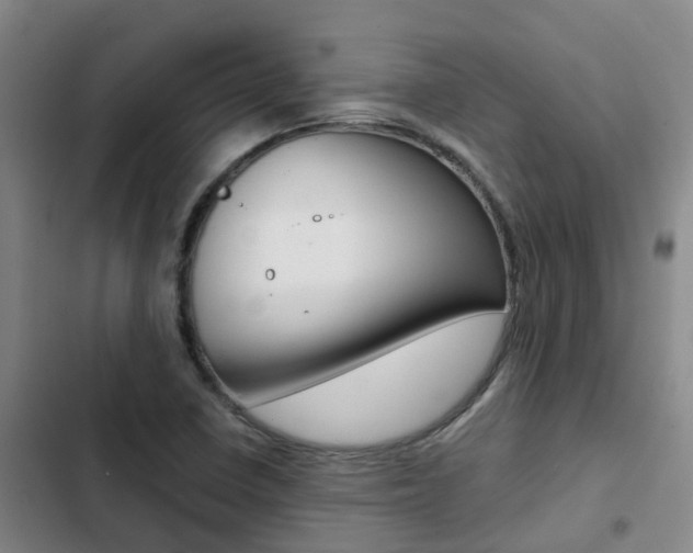 X0000103271410200808291056
