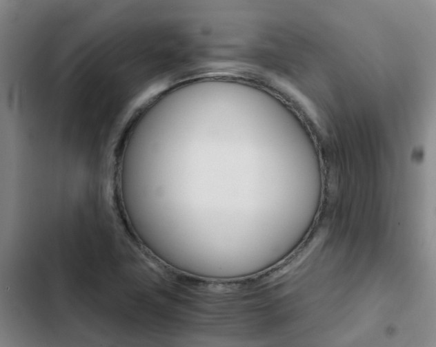 X0000103271411200808291056