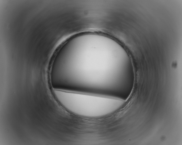 X0000103271412200808291056