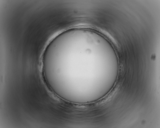 X0000103271413200808291056
