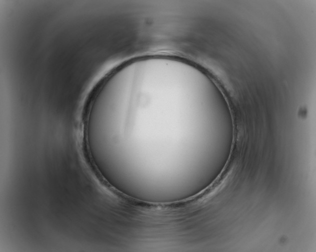 X0000103271414200808291056