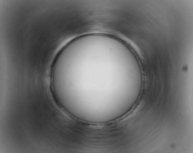 X0000103271415200808291056