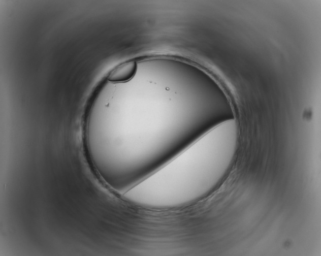 X0000103271416200808291056