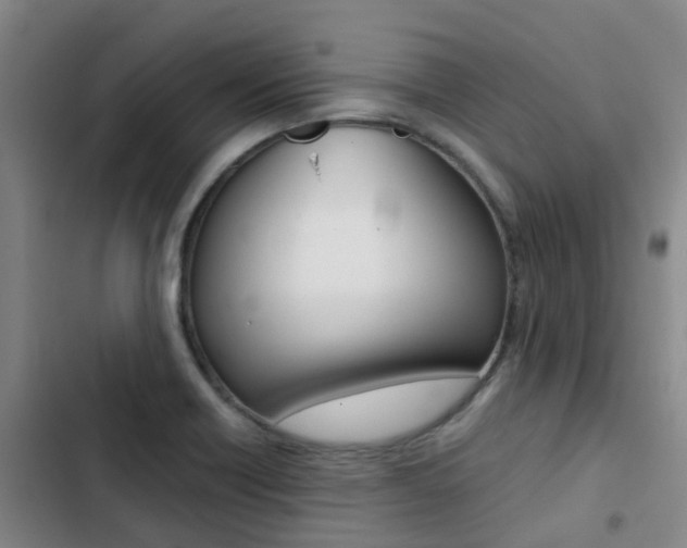 X0000103271418200808291056