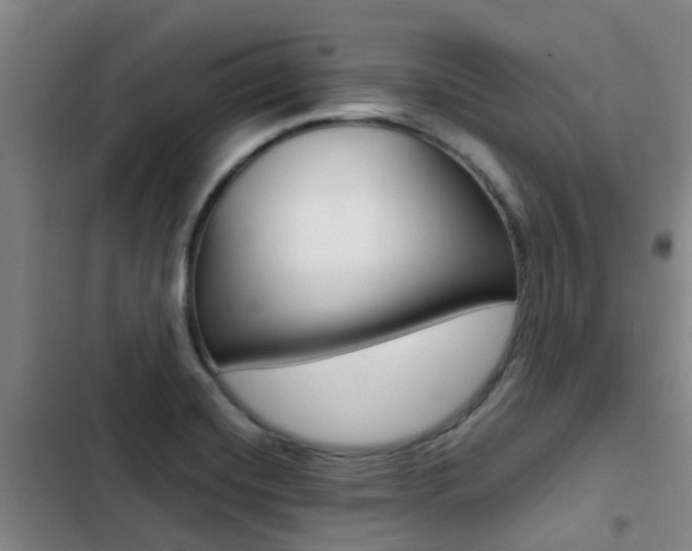 X0000103271420200808291056
