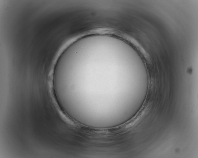 X0000103271421200808291056