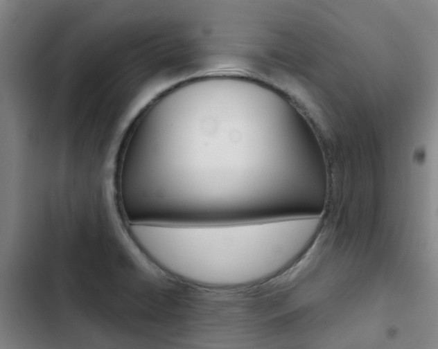 X0000103271422200808291056
