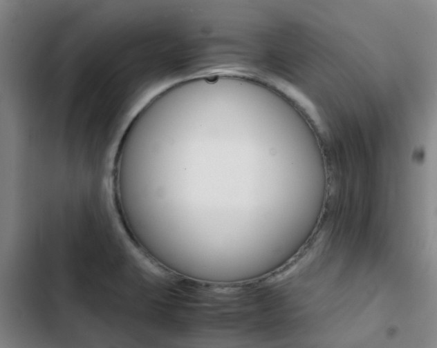 X0000103271423200808291056