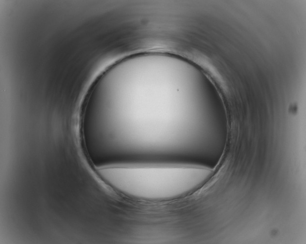 X0000103271424200808291056