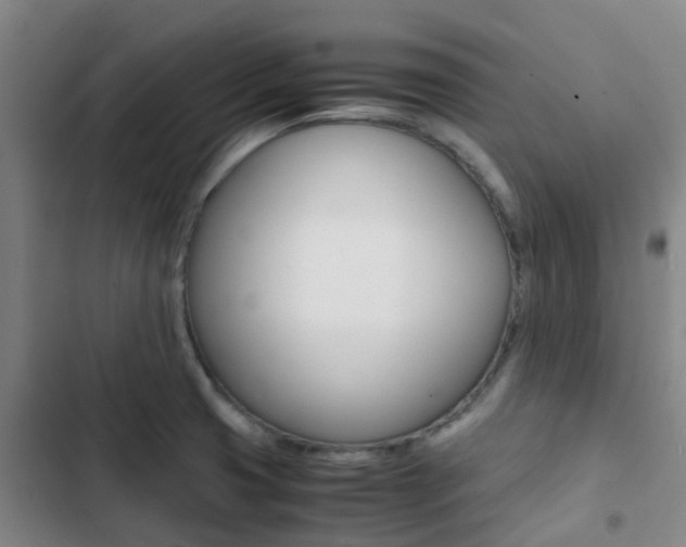 X0000103271425200808291056