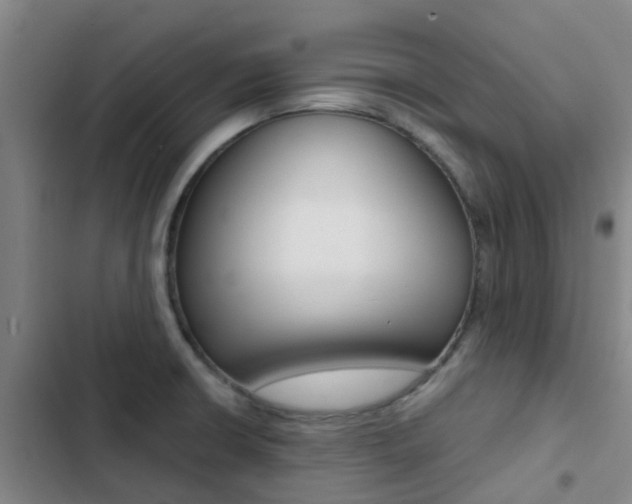 X0000103271426200808291056