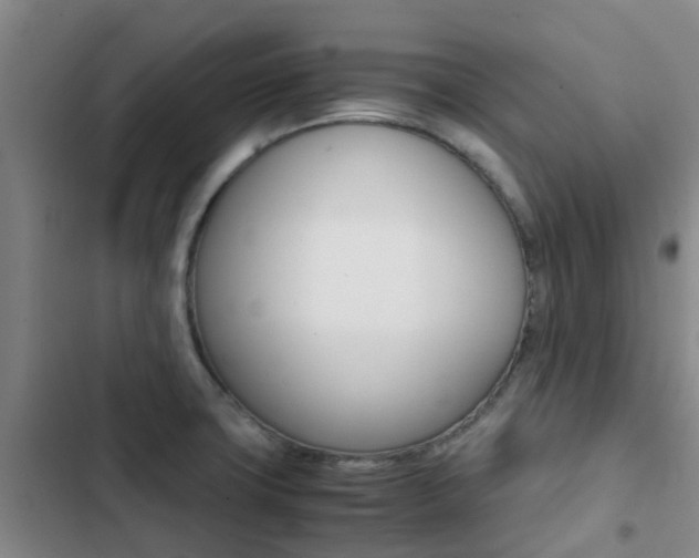 X0000103271427200808291056