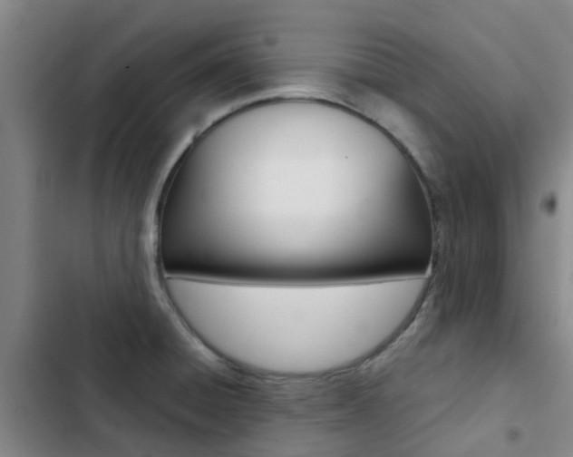 X0000103271428200808291056