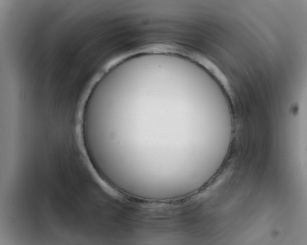 X0000103271429200808291056