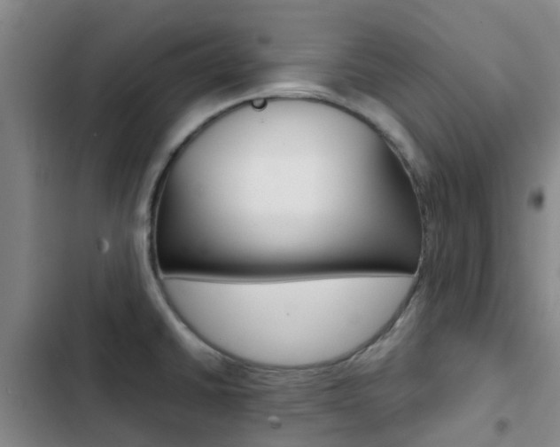 X0000103271430200808291056