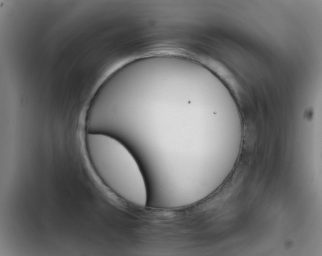 X0000103271431200808291056