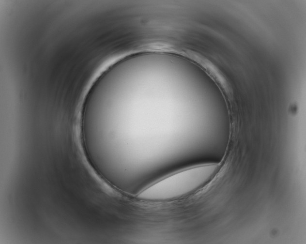 X0000103271432200808291056