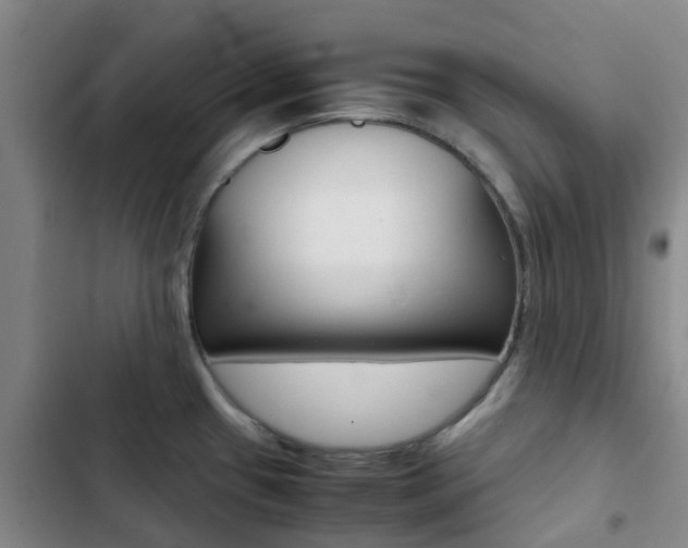 X0000103271433200808291056