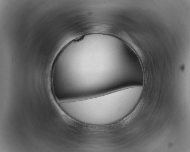X0000103271434200808291056