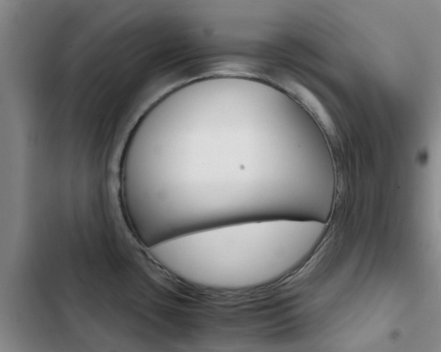 X0000103271435200808291056
