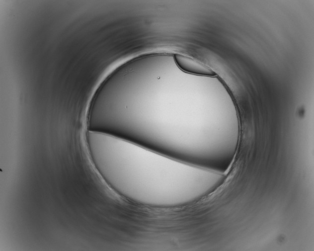 X0000103271436200808291056