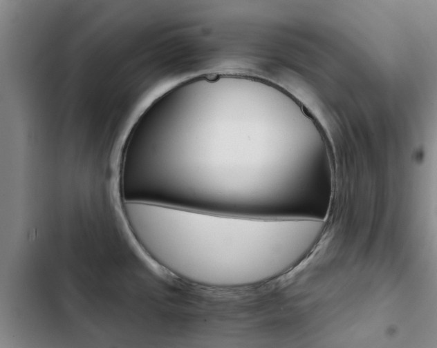 X0000103271437200808291056