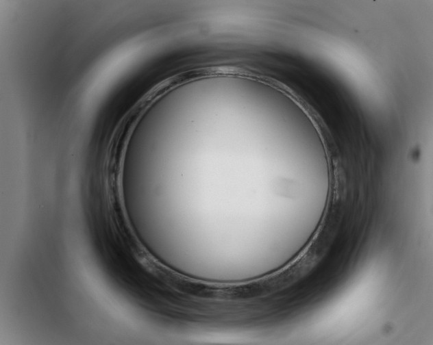 X0000103271438200808291056