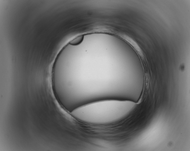 X0000103271439200808291056