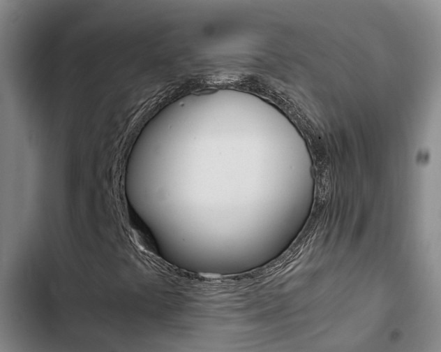 X0000103271441200808291055