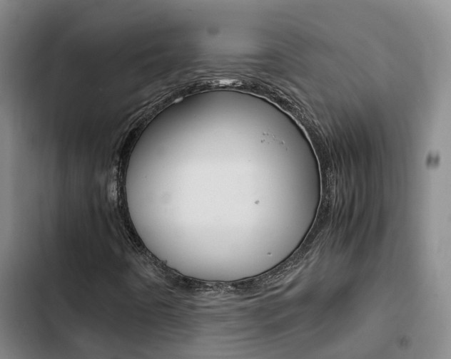 X0000103271442200808291055