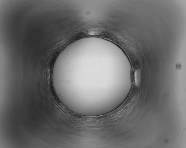 X0000103271443200808291055