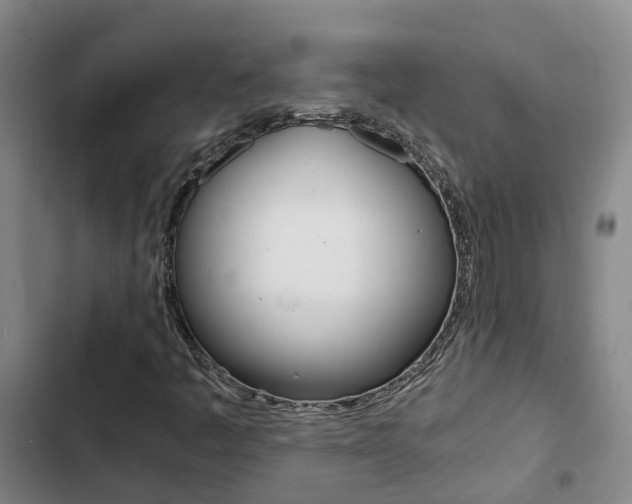 X0000103271445200808291055