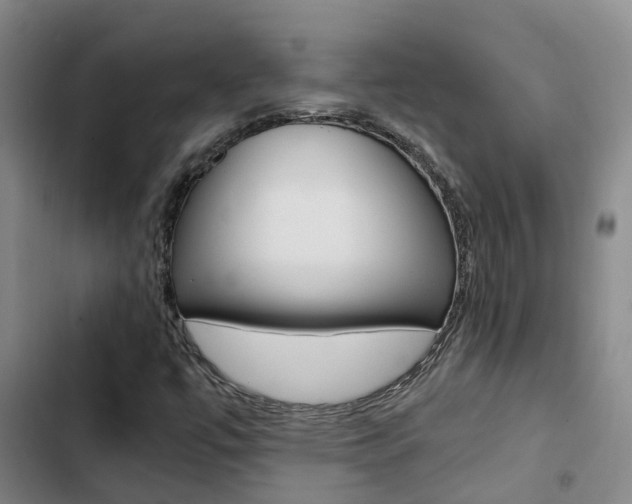 X0000103271447200808291055