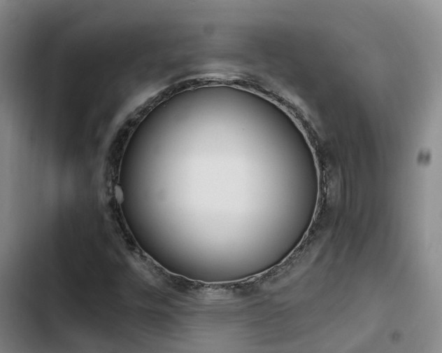 X0000103271448200808291055