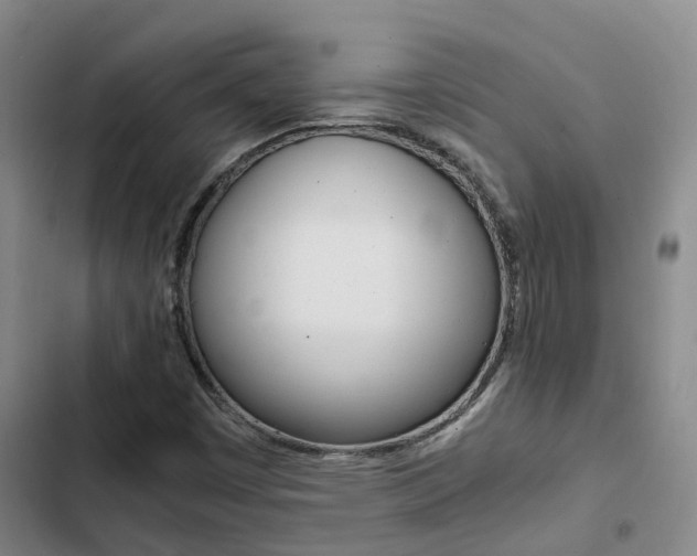 X0000103271449200808291055