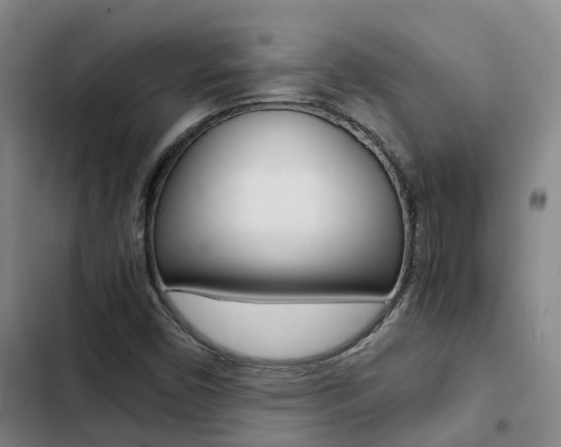 X0000103271450200808291055