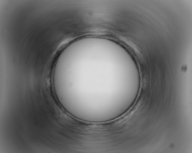 X0000103271451200808291055