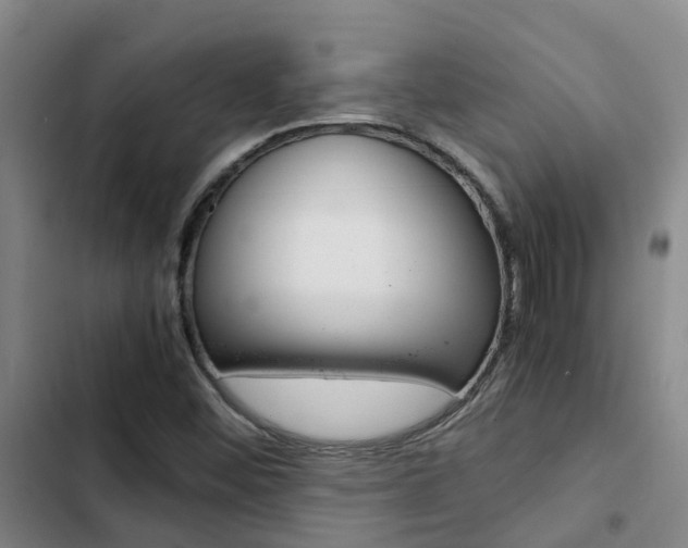X0000103271452200808291055