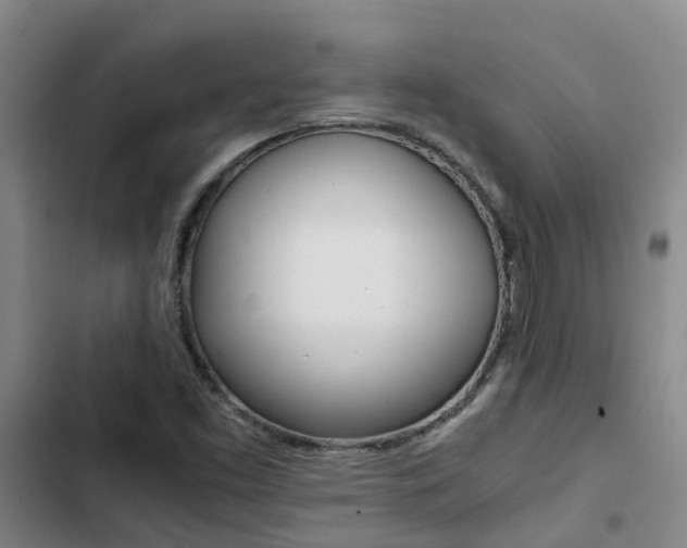 X0000103271453200808291055