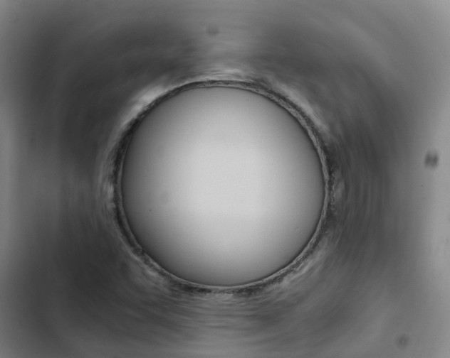 X0000103271455200808291055