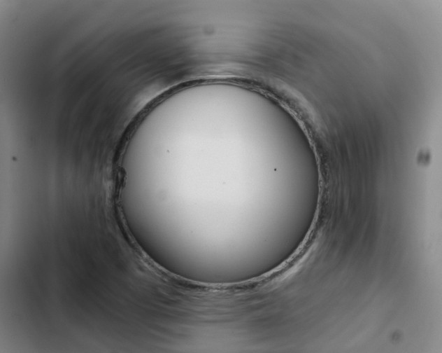 X0000103271457200808291055