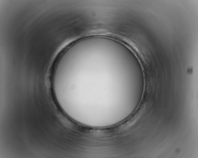 X0000103271458200808291055