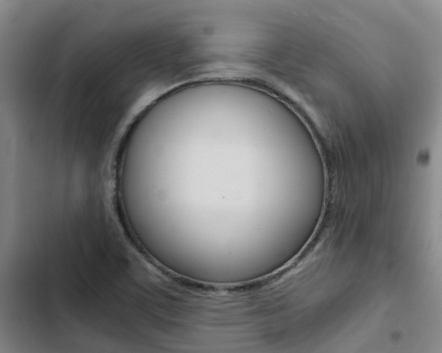 X0000103271459200808291055